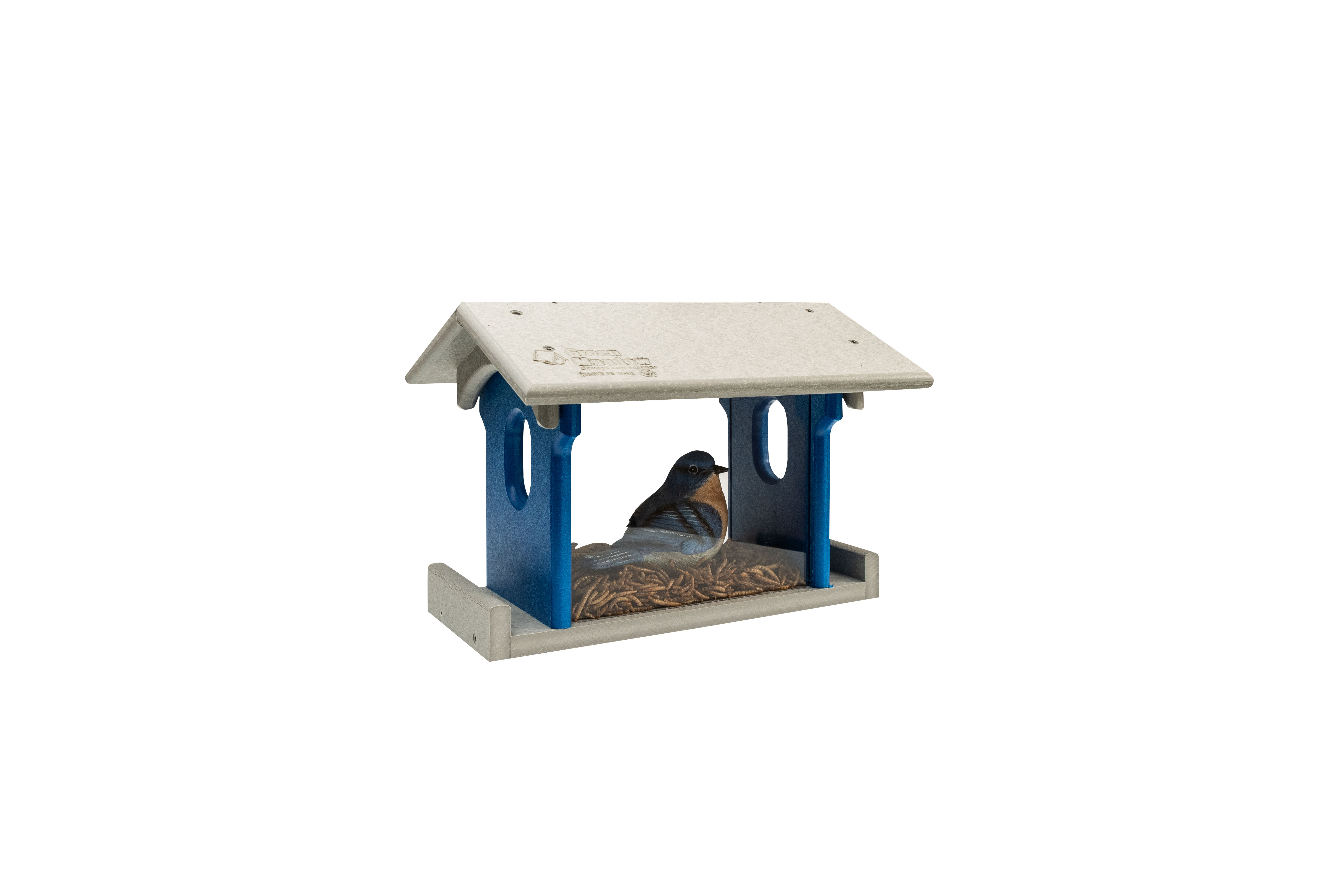 Bluebird Feeder 2